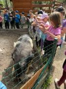 Výlet Farmapark